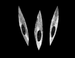 3 eyes