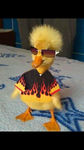 Ducklord’s unite