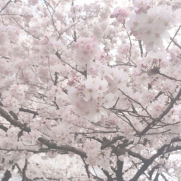 ♡