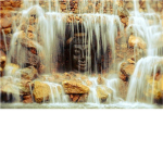 Waterclan/Caveclan