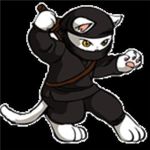 Kitty ninja's