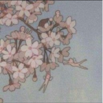 Z₤PH¥RIN₤