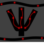 Cryptic Company (C.C)
