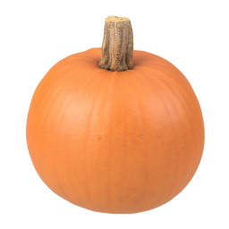 Pumpkin hangout