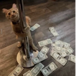 [ɴxᴍɪ]