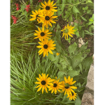 Test133