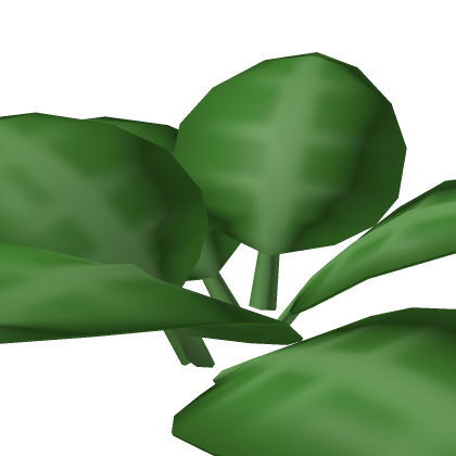 Forest Plant