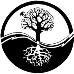 Ying-Yang Academy School