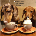 Puppys cáfe