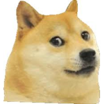 Doge Channel