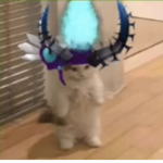 You need a dog