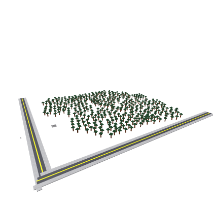 tree'forest and road