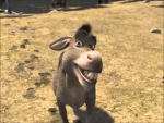 Team Donkeys.