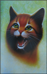 Warrior Cat's