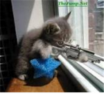 True winners : Sniper Force