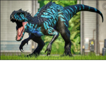# dino nation