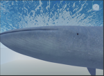 HumpBackStudios