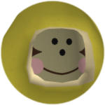 The Rainforest People