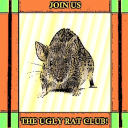 The Ugly Rat Clubs Hideout