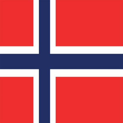 Norway Flag Roblox decal