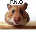 『F.N.O