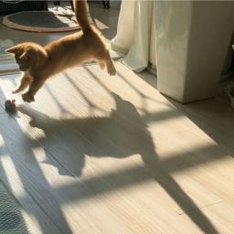 ☆