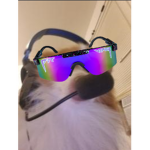 Rich Incorp.