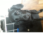 Luna und Isy