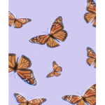 Maya’s store<3