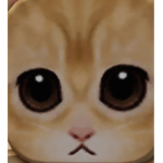 El Gato leader