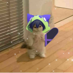 Demon slayer cropss