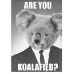 K Pandas