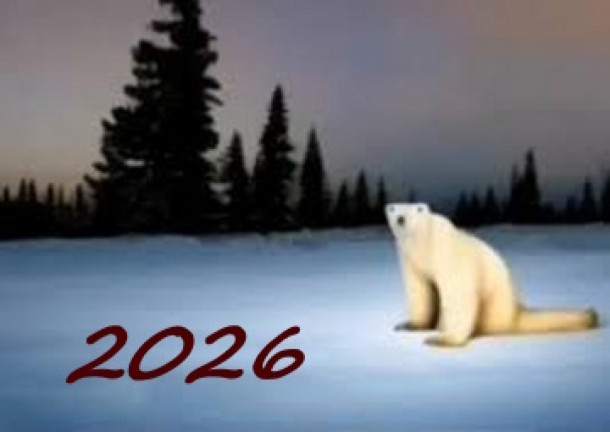 Medved From 2026 screenshot 4