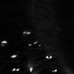 ✧