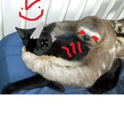 Cool ice-sloth hangout