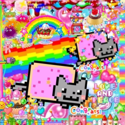 ⋆｡🌈