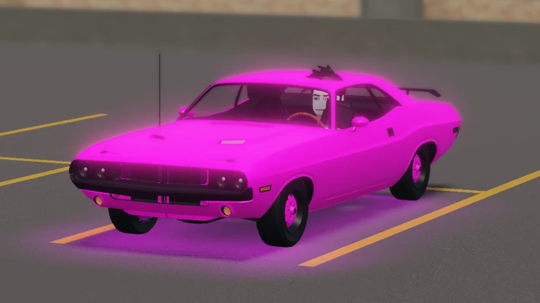 CAR CUSTOMIZATION