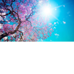 Aurora Clothing ツ