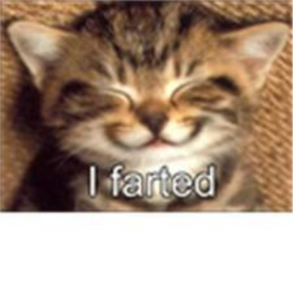 funny cat Roblox decal