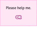 amber simulator