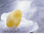 Frozen Potato Designs™