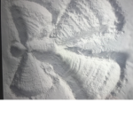 snow angel squad!