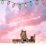 Dreams Come True Boutique!