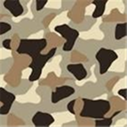 The Desert Army's Battle field