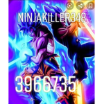 KillerNinja348