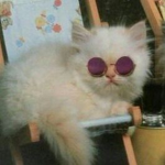 Meu nome é Luli =3