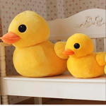 The Ducks's