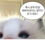 소통방에 어서오십쇼
