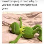 Memes are amazing!!!