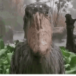 EAT P00P